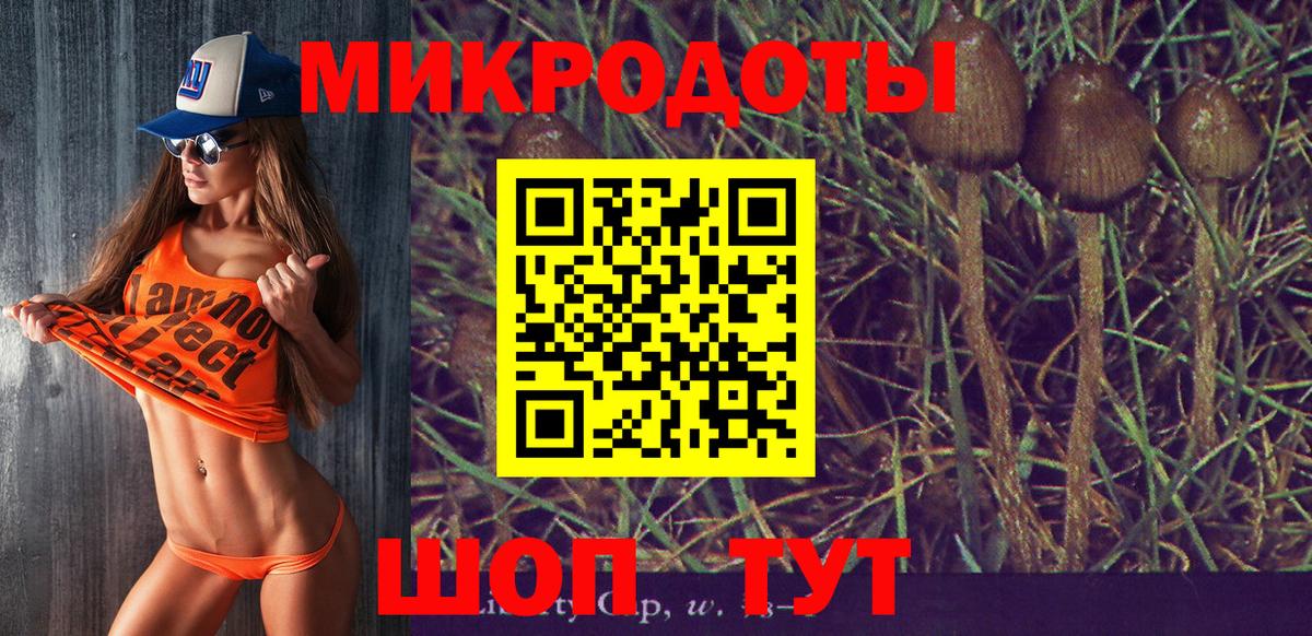 Галлюциногенные грибы Psilocybe  Галлюциногенные грибы MAGIC MUSHROOMS  Вход с VPN  Балтийск 
